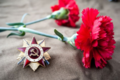 Единый урок, посвящённый Дню Победы